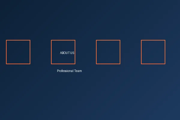 五星体育（中国）官方网站专业团队合影
